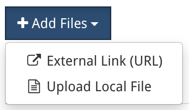 Add File Screenshot: External Link or Upload local file